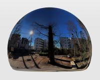 牧野記念庭園 2025_12_28_m01